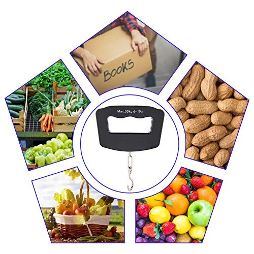 50kg Portable Handheld Digital - огляд і ціна Fishing Hook Stainless Steel